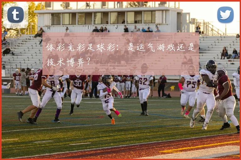 体彩竞彩足球彩：是运气游戏还是技术博弈？